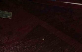 Trabzonspor: "Sporcularımızın ve teknik heyetimizin can güvenliği açık şekilde tehdit altındadır"