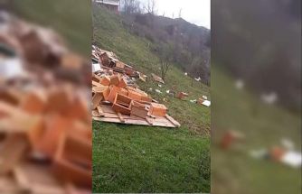 Türkeli’de fırtına arıcılığı vurdu: Onlarca kovan zarar gördü