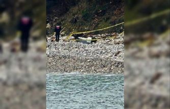 Türkeli’de kıyıya vuran şüpheli cisim korkuttu