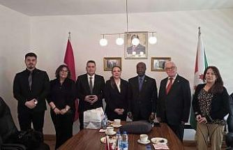 Türkiye ile Burundi arasında çok sektörlü iş birliği görüşmesi