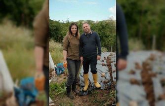 Ünlü zincir restoranda gıda zehirlenmesi iddiası