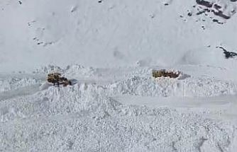 Van Bahçesaray’da mezra yoluna çığ düştü