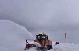 Van’da 97 yerleşim yerinin yolu kapalı