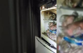 Van’da ev yangını