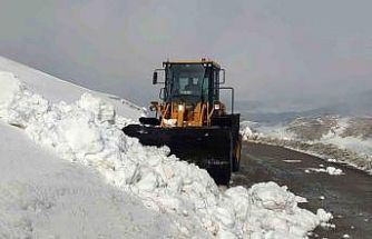 Van’da kar nedeniyle kapanan 67 yerleşim yerinin yolu açılıyor