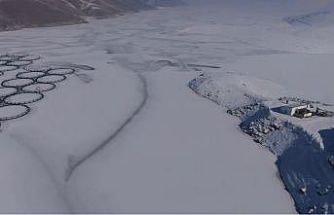 Van’da Sibirya soğukları: Dev barajlar buz tuttu