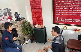 Veteriner hekimlere ilkyardım eğitimi