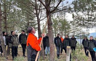 Vezirköprü’de işletme şefi adaylarına silvikültür eğitimi