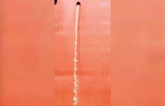 Yalova’da denizi kirleten gemiye para cezası