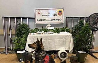 Yalova’da evi uyuşturucu serasına çeviren 2 zanlı tutuklandı