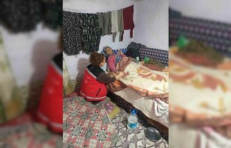 Yangın mağduru aileye barınma ve sosyal destek