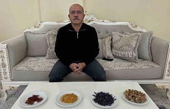 "Yapamazsın" diyenlere inat yetiştirdiği safran ve salebi evinde tüketiyor