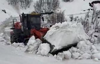 Yedisu’da kar kalınlığı 1 metreyi aştı, ekiplerin mücadelesi sürüyor
