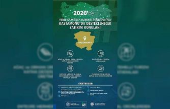 Yerel Kalkınma Hamlesi Teşvik Programıyla 3 ilin yerel potansiyeli ortaya çıkartılacak