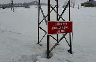 Yüksekova’da kuduz alarmı: Ekiplerin müdahalesiyle durum kontrol altına alındı