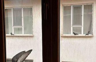 Yürekleri ısıtan davranış: Minik öğrenciden kuşlara ekmek