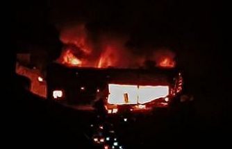 Zeytin ve fıstık işleme fabrikasında korkutan yangın