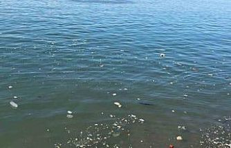 Zonguldak sahilinde çöp tepkisi