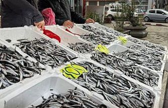 Zonguldak’ta Sevgililer Günü’ne özel hamsi kampanyası: Kilosunu 100 liradan sattılar