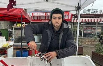 Zonguldak’ta tezgahta hamsinin yerini istavrit ve mezgit alacak