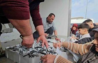 1 ton hamsi 15 dakika da tükendi