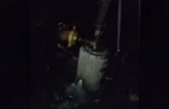 Adana’da 40 güvercin yangında telef oldu