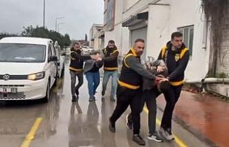 Adana’da atlara eziyet iddiası: 2 kişi gözaltına alındı