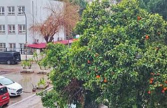 Adana’da bayramda yağmur ve serin hava etkili olacak