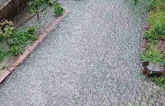 Adana’da yağmur sele neden oldu