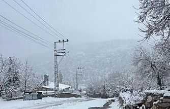 Adana’da yaylalarda kar etkili oldu