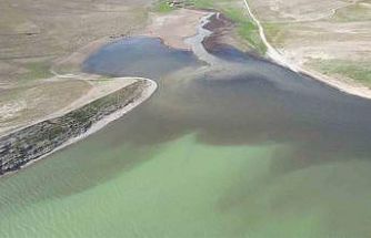 Adıyaman’ın kanalizasyon atığı Atatürk Barajı’nı siyaha bürüdü