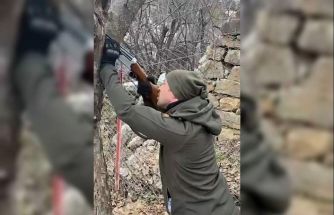 Ağaca takılan dronu tüfekle dala ateş ederek kurtardılar