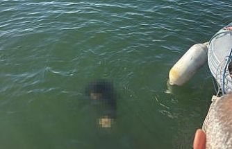 Akülü tekerlekli sandalyesiyle denize düşen kişi kurtarılamadı