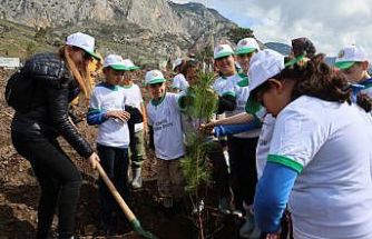 Akyaka’da yanan alan fidanlarla yeşeriyor