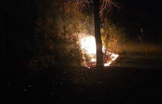 Alanya’da ormanlık alanda çıkan yangın büyümeden söndürüldü