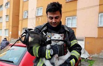 Alevlerin arasından kurtarıldı: İtfaiye hamile kediyi sağ salim çıkardı