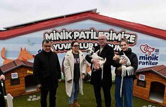 Altıeylül’ de can dostlar sıcak yuva bekliyor