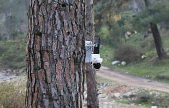 Altın değerindeki künara kameralı önlem