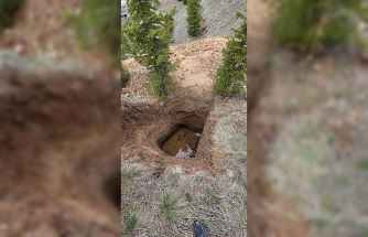 Ankara’da kaçak kazının yapıldığı çukura düşen köpek kurtarıldı