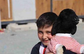 Annesi doğumda telef olan ’Boncuk’ kuzu, elbisesi ve biberonuyla ilgi odağı oldu