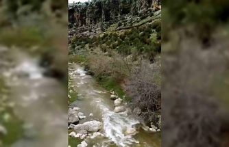 Araban’da kuruyan Ardıl Çayı yıllar sonra yeniden akmaya başladı