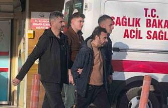 Araç faresi yakayı ele verdi