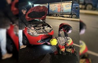 Aracın motoruna giren tilki ekiplerce kurtarıldı