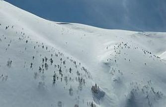 Artvin’de çığ faciası: Kayıp kişi için çalışmalar 86 gündür sürüyor