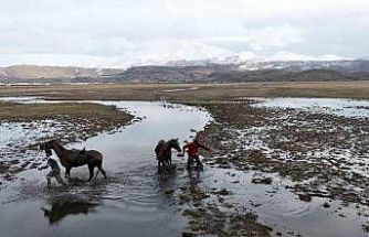 Atla gezi suda bitti