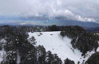Aydın’a bahar ayında kış sürprizi