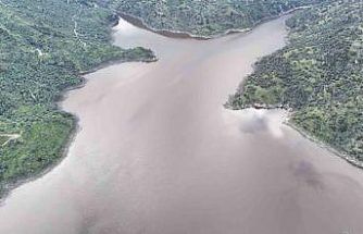 Aydın’da yağmurlar bereket getirdi, barajlar canlandı