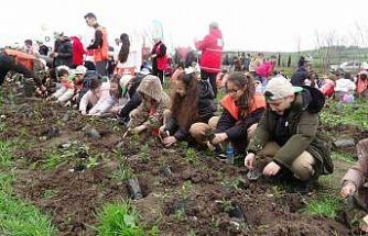 Bafra’da minik eller 3 bin fidanı toprakla buluşturdu