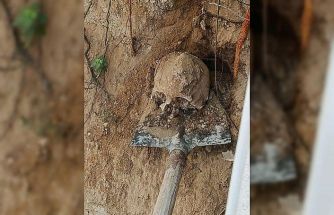 Bahçede yapılan kazıda insan kafatası ve kemikler bulundu