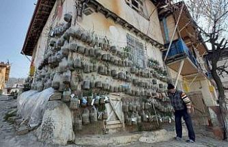Bahçede yetiştiremeyince çözümü evinin duvarında buldu
